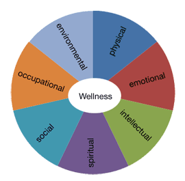 health dimensions physical seven mental well being diagram healthy