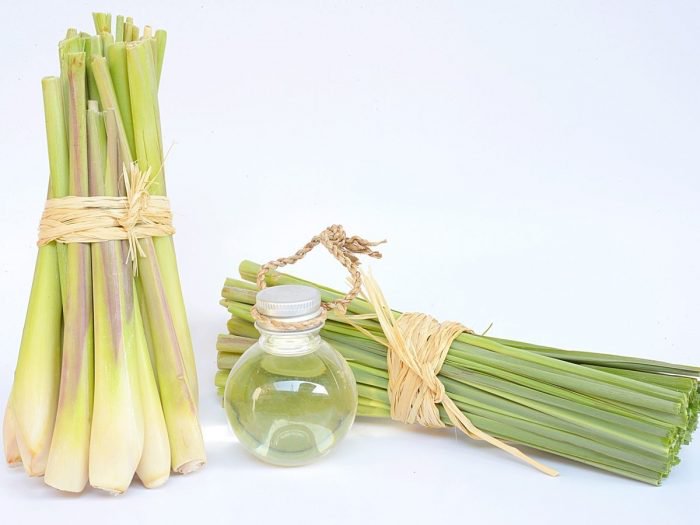 Lemongrass Essential Oil Skin Benefits and Using Methods New Health Advisor