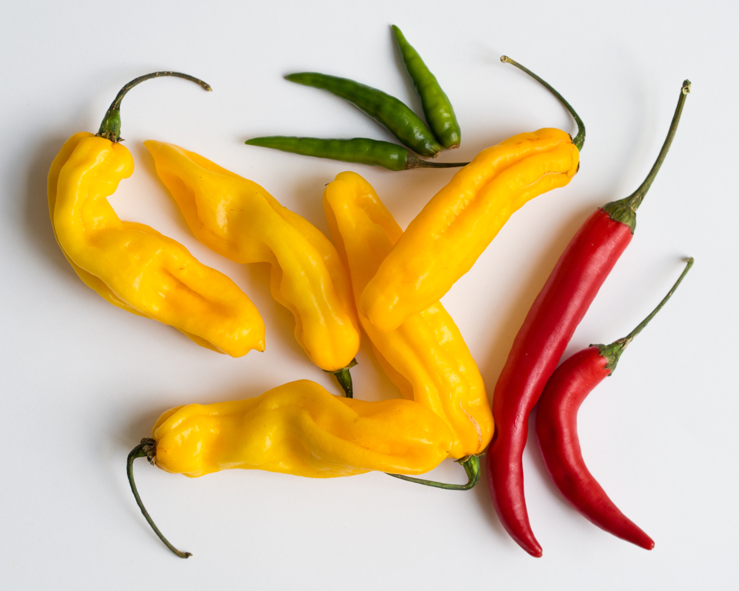 Easy To Eat Foods When Nauseous Easy To Eat Foods When Nauseous